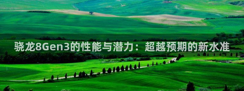 威廉希尔(williamhill)网站登录流程：骁龙8Gen3的性能与潜力：超越
