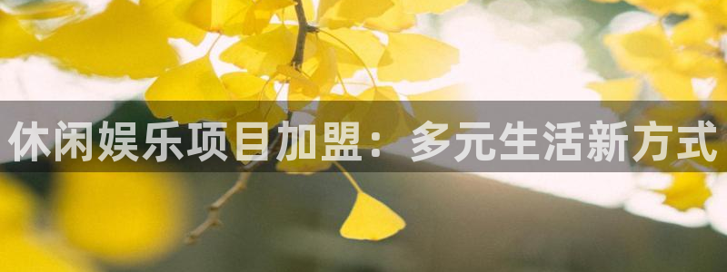 威廉希尔(williamhill)pg：休闲娱乐项目加盟：多元生活新方式