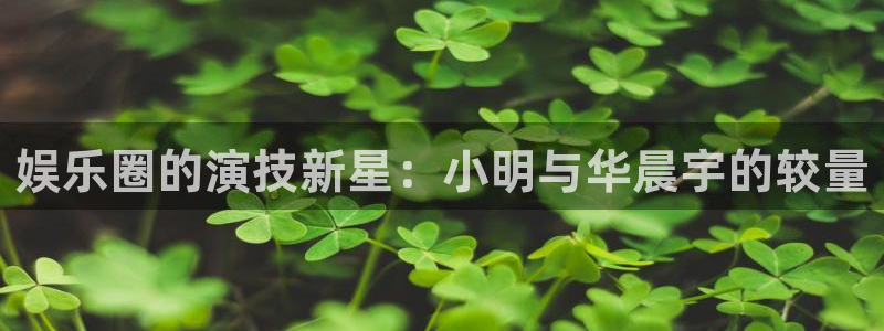 威廉希尔(williamhill)娱乐：娱乐圈的演技新星：小明与华晨宇的较量