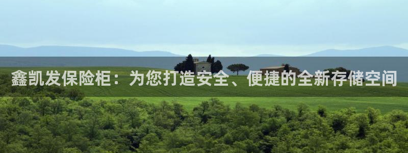 威廉希尔(williamhill)集团股票：鑫凯发保险柜：为您打造安全、便捷的全新存储空间