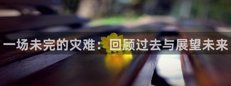 威廉希尔(williamhill)电子娱乐官网下载：一场未完的灾难：回顾过去与展望未来