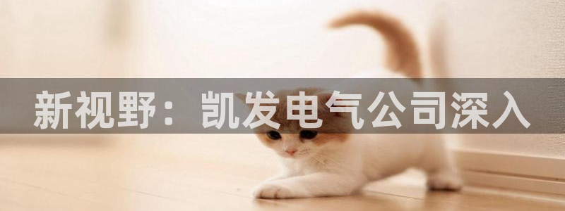 威廉希尔(williamhill)登陆：新视野：凯发电气公司深入