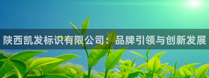 威廉希尔(williamhill)平台招商：陕西凯发标识有限公司：品牌引领与创新发展