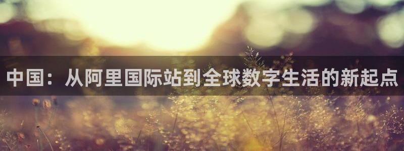 威廉希尔(williamhill)电子游戏：中国：从阿里国际站到全球数字生活的新起点