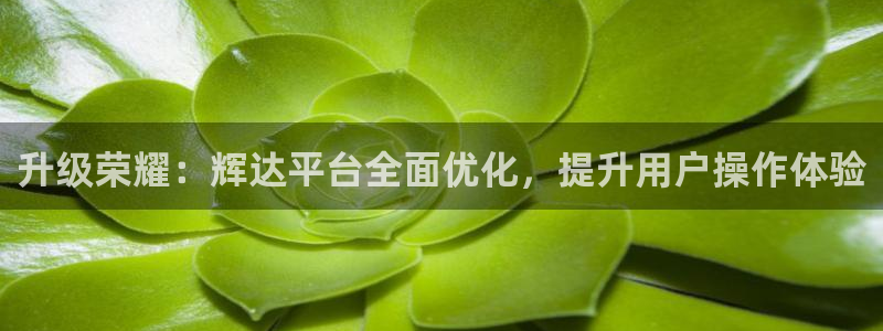 威廉希尔(williamhill)体育网页版入口：升级荣耀：辉达平台全面优化，提升用户操作体验