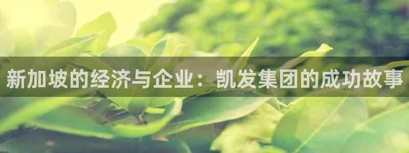 威廉希尔(williamhill)可靠吗：新加坡的经济与企业：凯发集团的成功故事