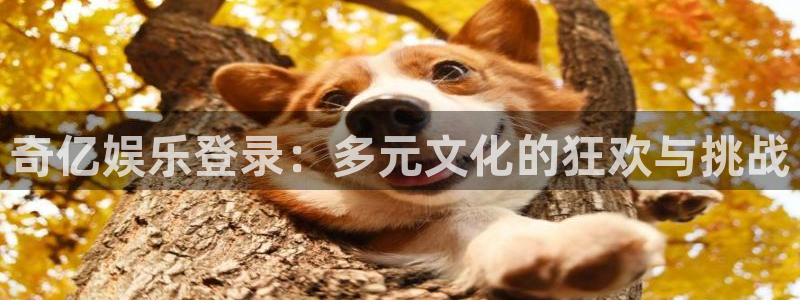 威廉希尔(williamhill)vip麻将胡了：奇亿娱乐登录：多元文化的狂欢与挑战