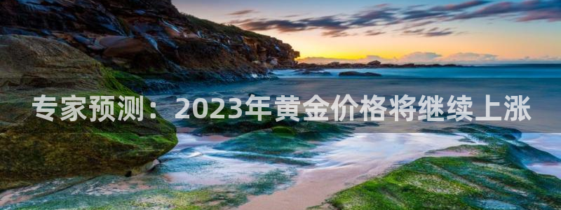 威廉希尔(williamhill)是啥：专家预测：2023年黄金价格将继续上涨