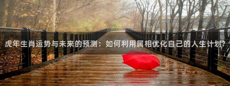 威廉希尔(williamhill)加拿大：虎年生肖运势与未来的预测：如何利用属相优化自己的人生计划?