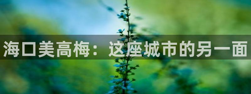威廉希尔(williamhill)体育2：海口美高梅：这座城市的另一面