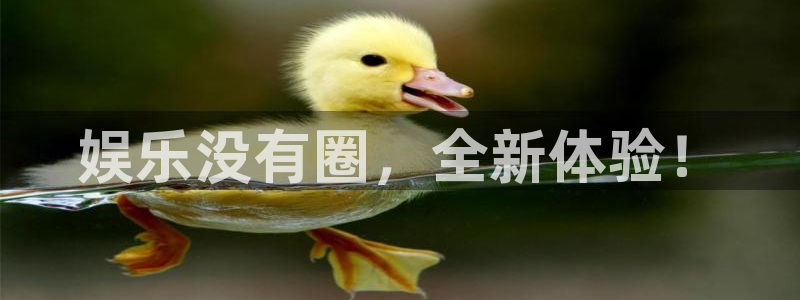 威廉希尔(williamhill)手机版下载：娱乐没有圈，全新体验！