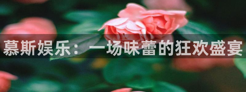 威廉希尔(williamhill)体育代理申请流程：慕斯娱乐：一场味蕾的狂欢盛宴