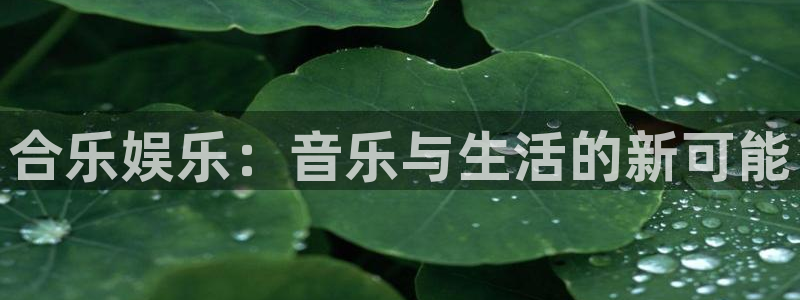 威廉希尔(williamhill)平台最新版本下载：合乐娱乐：音乐与生活的新可能