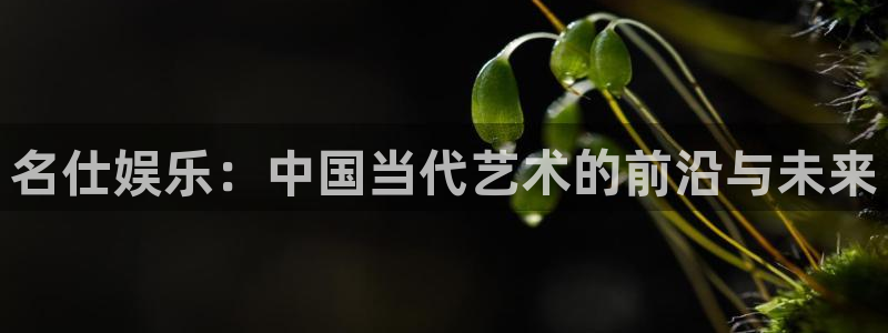 威廉希尔(williamhill)官网版：名仕娱乐：中国当代艺术的前沿与未来