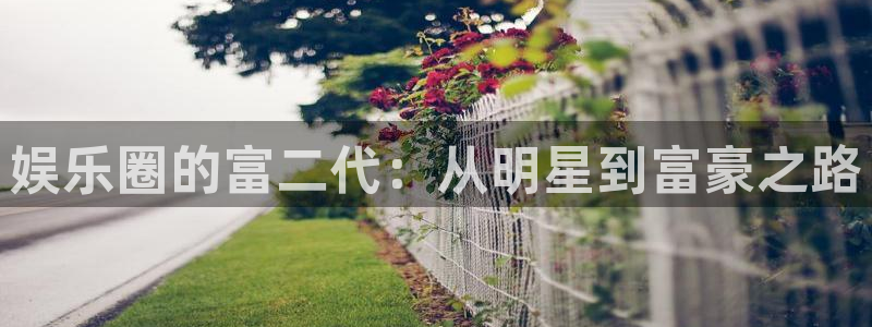威廉希尔(williamhill)ccm麻将胡了：娱乐圈的富二代：从明星到富豪之路