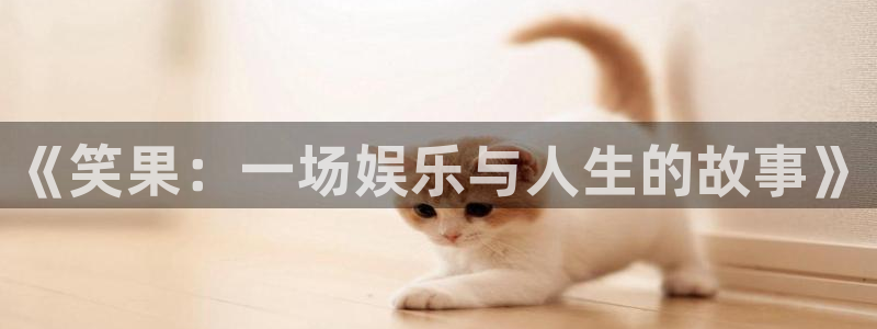 威廉希尔(williamhill)电玩网官网入口：《笑果：一场娱乐与人生的故事》