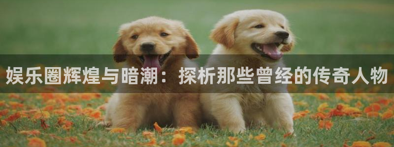 威廉希尔(williamhill)游戏官网平台：娱乐圈辉煌与暗潮：探析那些曾经的传奇人物