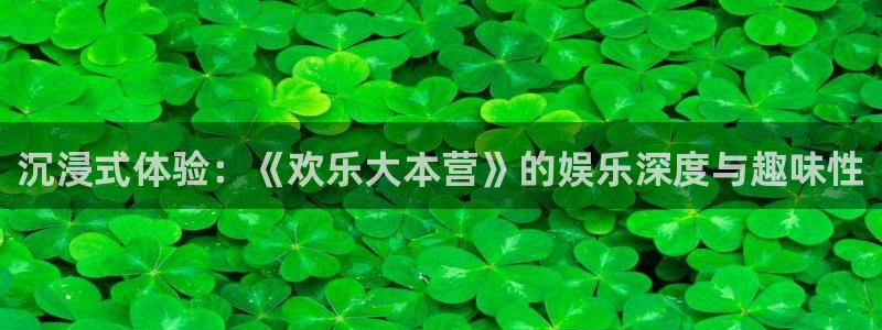 威廉希尔(williamhill)4平台：沉浸式体验：《欢乐大本营》的娱乐深度与趣味性