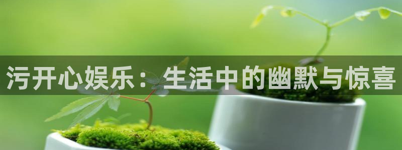 威廉希尔(williamhill)是正规平台吗：污开心娱乐：生活中的幽默与惊喜